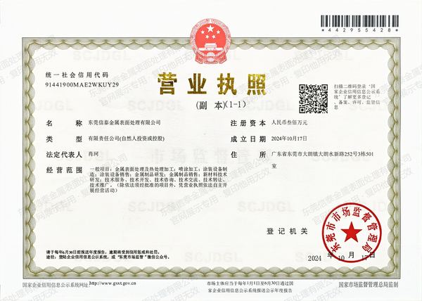 东莞信泰金属表面处理有限公司营业执照（副本），统一社会信用代码 91441900MAE2WKUY29，法定代表人肖珂，成立日期 2024-10-17